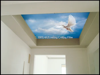 DA-003Eagle voando no céu azul de impressão de filme stretch um novo céu materiais de decoração na sala de estar